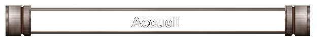 Accueil